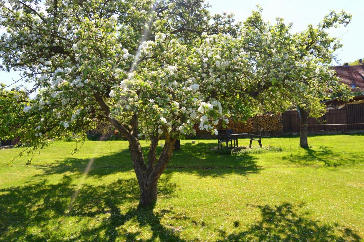 Ferienwohnung Waldblick Bückeburg Exterior foto
